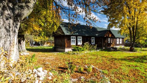 Zarki Casa | Przystań Czatachowa