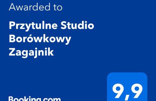 Piechowice Apartamento | Przytulne Studio Borówkowy Zagajnik