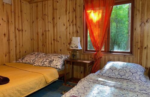 Kozienice Casa | Przytulny domek w lesie blisko rzeki