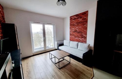 Torun Apartamento | Przytulny na Winnicy z widokiem na Wisłę