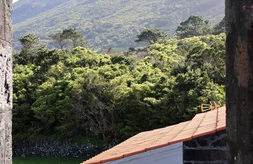 Santo Amaro Casa | Cómoda casa de piedra en Pico