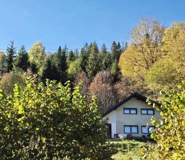 Szczyrk Chalet De Esquí | Ptasi domek