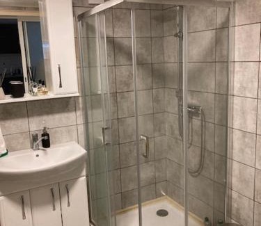 Anyksciai Apartamento | Pušyno Apartments-Studio