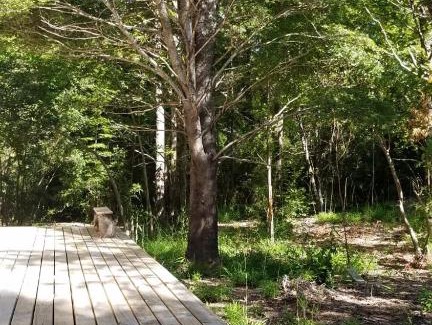 Palguin Alto Casa | Pucón-Casa Manke-Palguin Alto - Bosque y Río