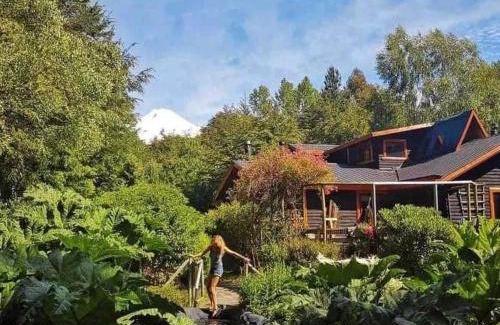 Pucon Cabina | Pucón Magic forest