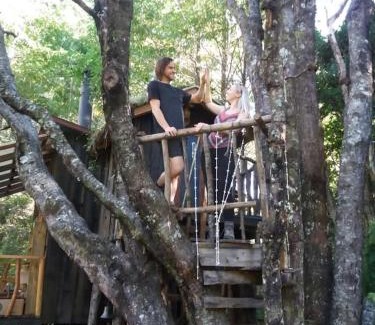 Pucon Cabina | Pucón Magic forest