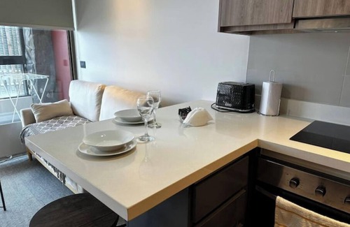 Pucon Apartamento | Pucon hermoso Dpto completísimo