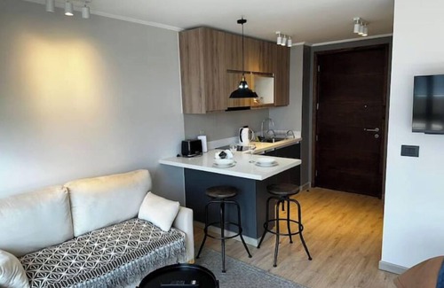 Pucon Apartamento | Pucon hermoso Dpto completísimo