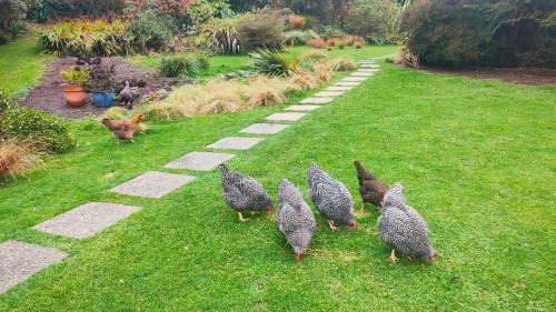 Dunedin Apartamento | Pukemara Retreat