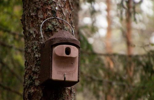 Rouge Casa | Pullijärve Holiday Park
