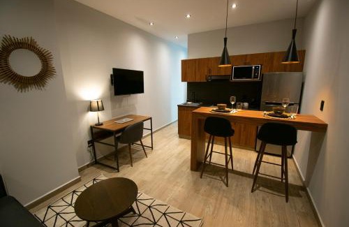Coyoacan Apartamento | Punto Lofts Periférico Sur