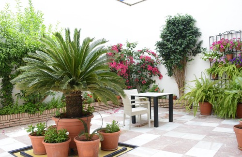 San Andres-San Pablo Apartamento | Purísima Vivienda Turística Apartamento planta baja