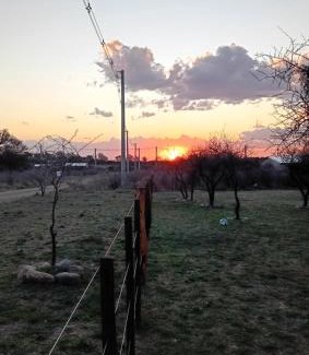 Cortaderas Casa | Pura Vida