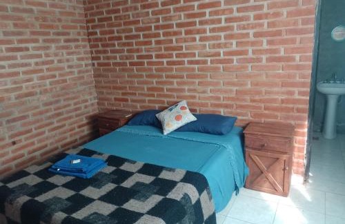 Cortaderas Casa | Pura Vida