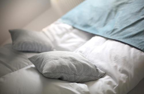 Zwierzyniec Apartamento | Pure Apartments Kraków