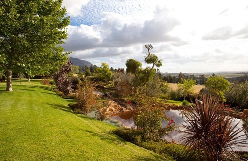 Stellenbosch Cabaña | Mímese en una granja de olivos rodeada de naturaleza fynbo y viñedos.