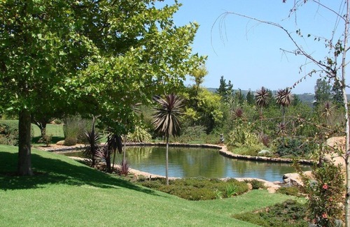 Stellenbosch Cabaña | Mímese en una granja de olivos rodeada de naturaleza fynbo y viñedos.