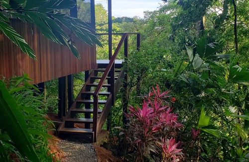 Carate Cabina | Pure Nature, 3 kilometers away from Corcovado Park, La Leona Station