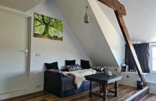 Heijningen Cama Y Desayuno | Pure Passie Bed and Breakfast