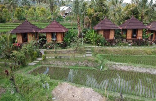 Munduk Cabina | Puri Sunny Camp
