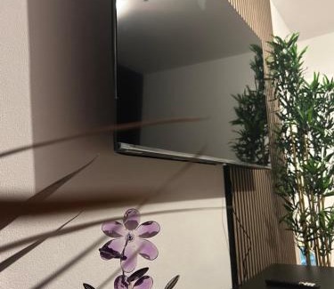 Rastpfuhl Apartamento | Purple Escape Balkon Netflix zentral