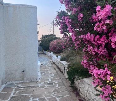 Naxos Apartamento | Pyrgaki hideway
