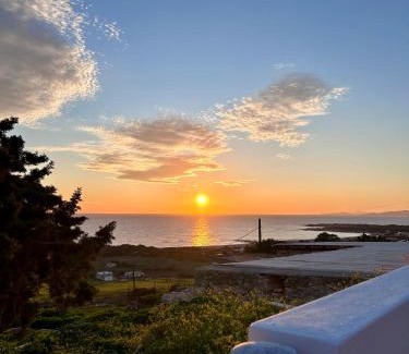 Naxos Casa | Pytilia