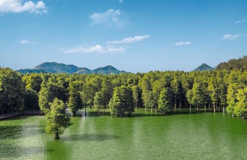 Xiacheng Apartamento | Qingshan Lake Tianlan Hotel Hangzhou
