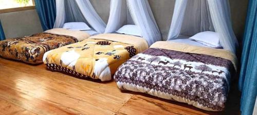 A Luoi Apartamento | Quốc Cảnh Homestay