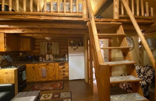 Coram Cabina | Quaint Log Cabin with River View. 7 miles to the entrance of West Glacier