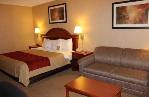 Central Colorado Springs Hotel | Quality Inn Colorado Springs South