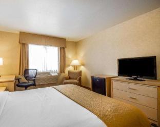 Petaluma Hotel | Quality Inn Petaluma - Sonoma