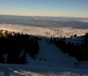 Thollon-les-Memises Apartamento | Quality Thollon mountain resort Family Studio