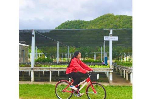 Huai Sat Yai Otro | Quality Time Farmstay: Bamboo House