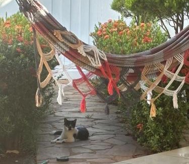Plano Diretor Sul Casa | Quarto Centro de Palmas ao lado da JK