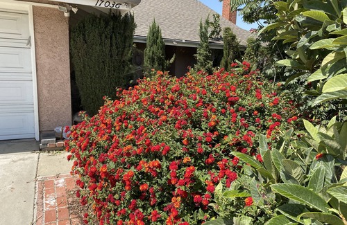 Hacienda Heights Casa | Queen Suite full bath view minute to school shopping etc .優雅套房。交通方便。