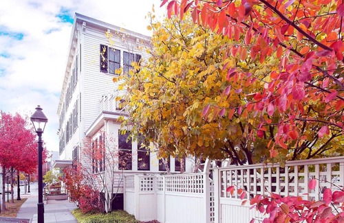 Milford Casa | Queen Suite, Hotel Fauchere, Heated Floors, Terrace, Near Mildfort Attractions