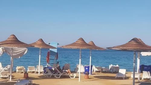Al Ahyaa Complejo | Queen T Juliana Beach Resort