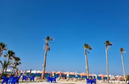 Al Ahyaa Complejo | Queen T Juliana Beach Resort