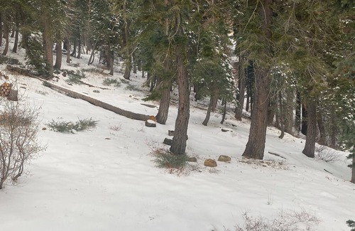 Twin Peaks Casa | Quiet 3-bedroom cabin in west Tahoe