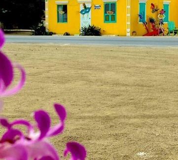De Bruynewijk Casa | Quiet and cozy cunuco guesthouse in Savaneta