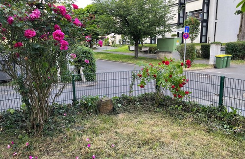 Mehlem Apartamento | Quiet beautiful apartment with garden and 2 parking spaces and 1 min. from the Rhine