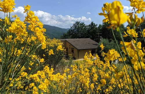 Dicomano Cabaña | Tranquilo Villa Country Tuscany Hills 45 minutos de Florencia