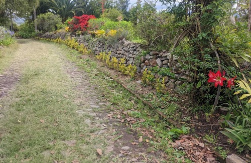 Ibarra Casa | Quiet place in the country