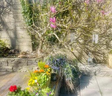 Wexford Casa | Quiet Room in Wexford with Local Charm