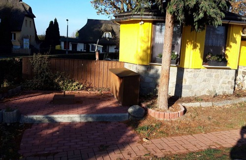 Born auf dem Darss Casa | Quietly located bungalow near the kite and surf spot Born - Sonnenblume