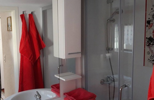 Born auf dem Darss Casa | Quietly located bungalow near the kite and surf spot Born - Sonnenblume