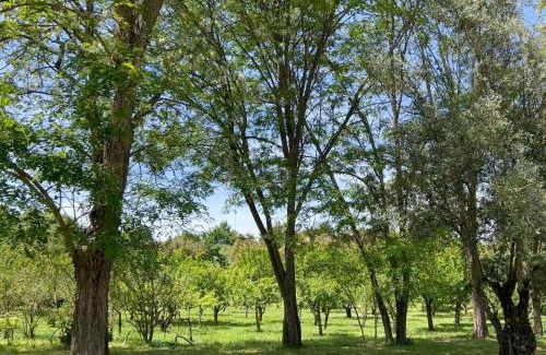 Nossa Senhora do Pranto Casa | Quinta da Mata de Baixo