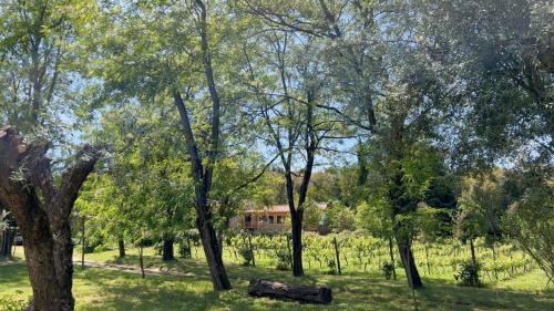 Nossa Senhora do Pranto Casa | Quinta da Mata de Baixo