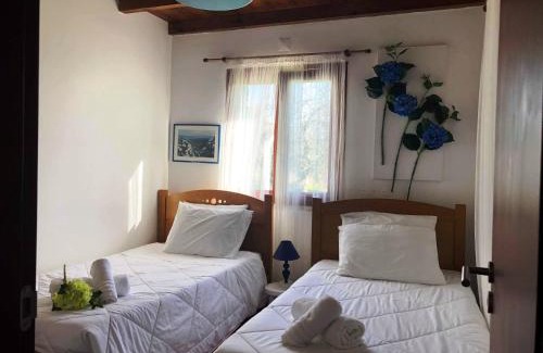Santa Maria dos Olivais Casa | Quinta da Ti Júlia